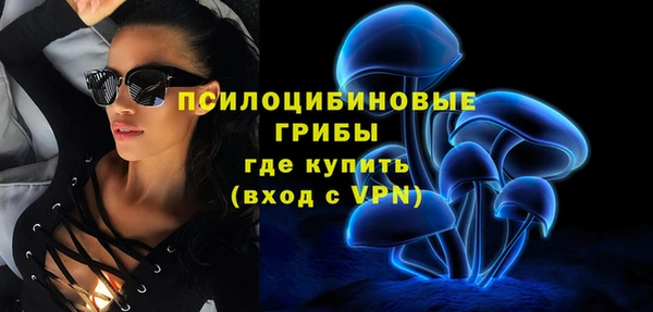 шишки Навашино